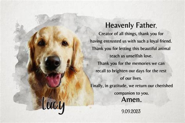 Uncovering The Power Of Prayer For Deceased Pets