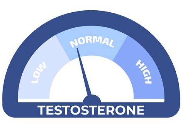 Understanding Britney Griner's Testosterone Levels: The Impact On Her Career