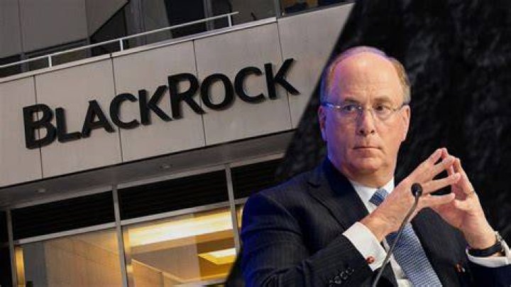Understanding The Influence Of The Black Rock Owner