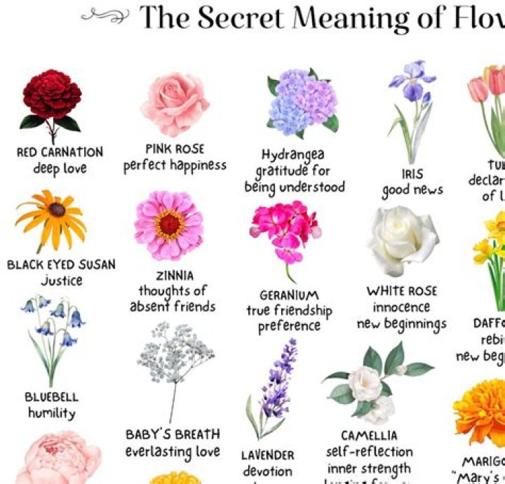 Unlock The Secret Meanings Behind The Flower Trend On TikTok