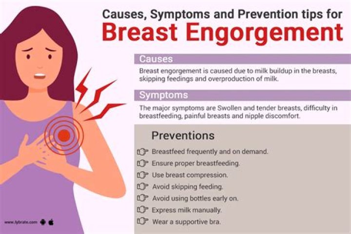 Unlock The Secrets Of Breast Enlargement: Discoveries From Africa