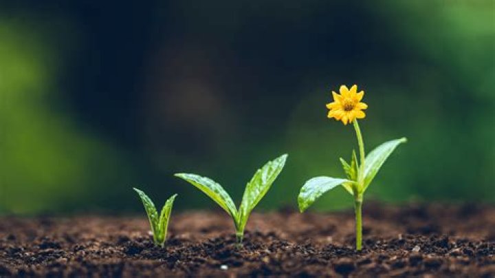 Unlock The Secrets Of "I Grow Stronger By Eating Ch 99": Discoveries And Insights