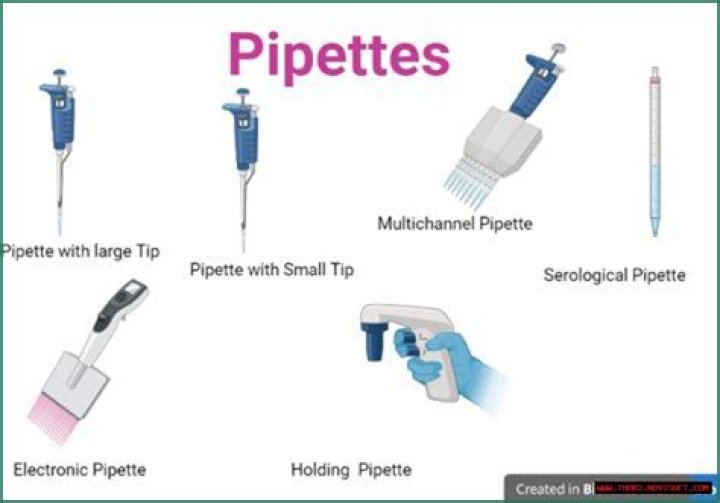 Unlock The Secrets Of Pipette Calibration: Uncover Precision And Accuracy