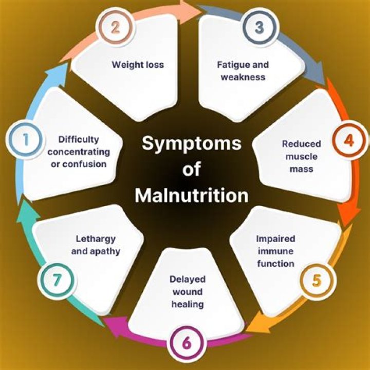 Unlocking The Secrets Of Health And Nutrition