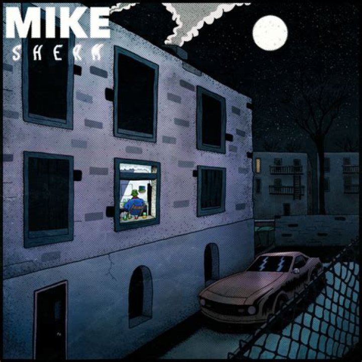 Unlocking The Secrets Of Mike Sherm's Net Worth