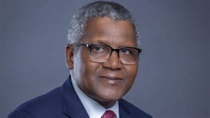 Unlocking The Wealth Of Adedeji Adeleke Investment