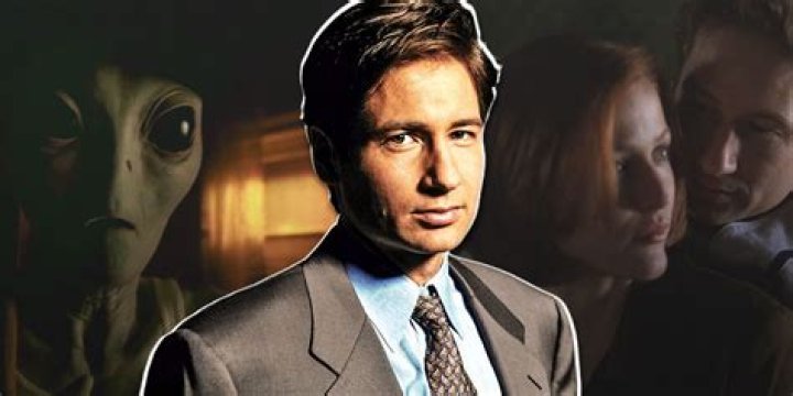 Unmasking The Enigma: The Life And Career Of The Agent Mulder Actor