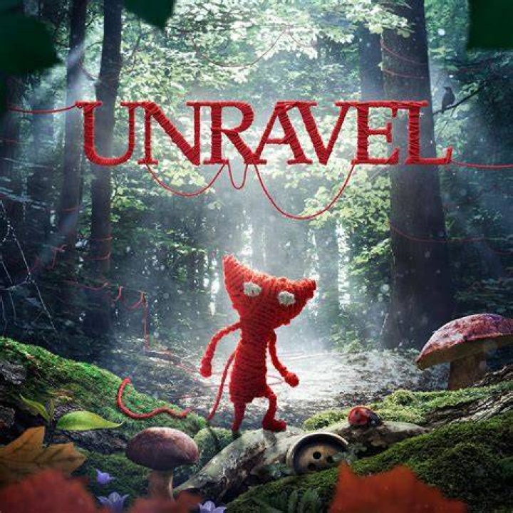 Unravel The Enigma And Reconnect