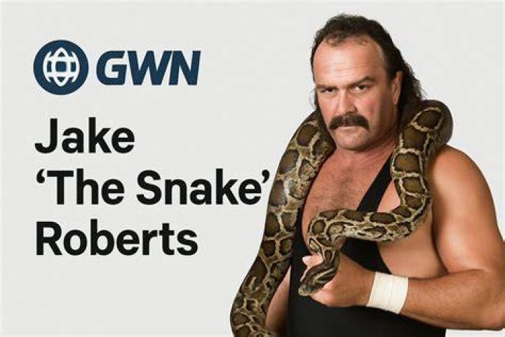 Unravel The Enigmatic World Of Snakes At Jake The Snake House