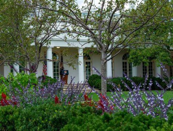 Unraveling Anthony Ornato's White House Journey: Insights And Discoveries