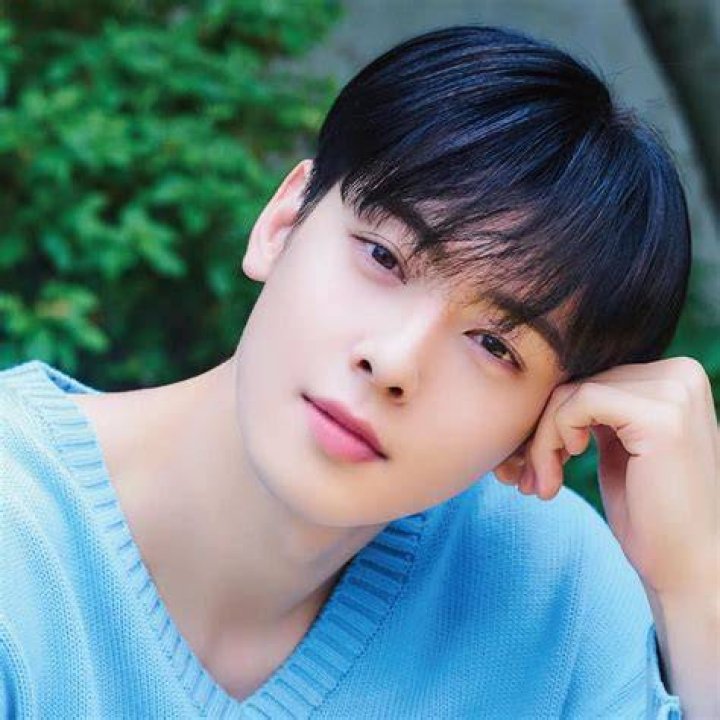 Unraveling Cha Eun Woo's Dating History: The Heartthrob's Romantic Journey