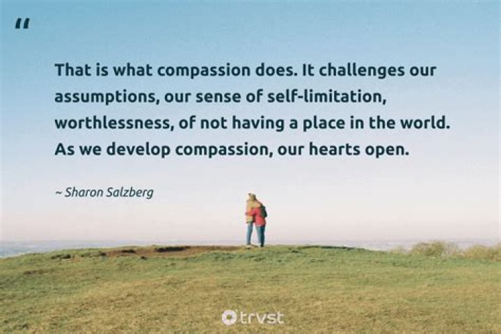 Unraveling The Enigma Of Courage, Compassion, And Justice