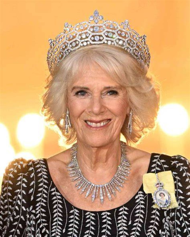 Unraveling The Mystery Behind Real Camilla Leaked