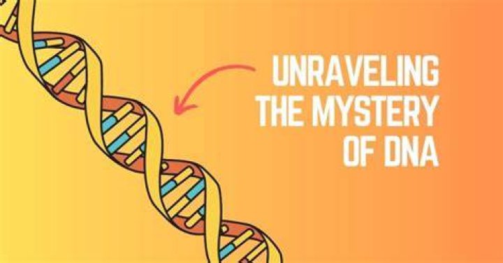 Unraveling The Mystery: Is Justin Dead?