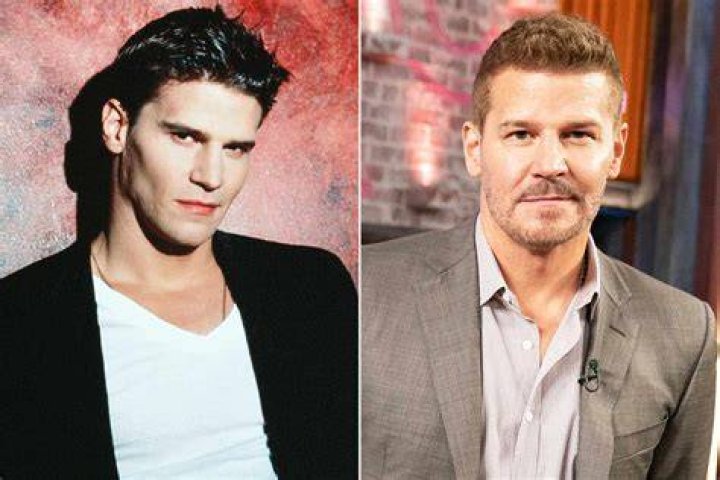 Unraveling The Mystery Of David Boreanaz's Brother