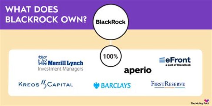 Unraveling The Mystery: Who Owns Black Rock?