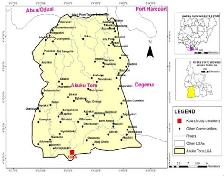 Unraveling The Secrets Of The Akuku Accipiter: Discoveries And Insights