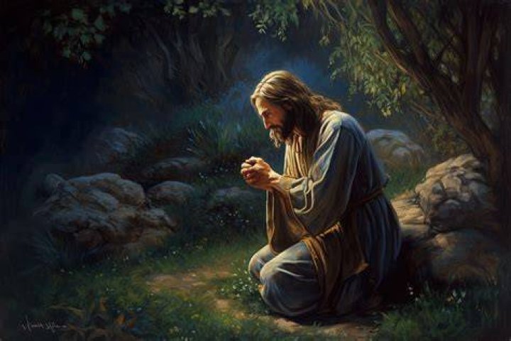 Unraveling The Truth And Illuminating His Journey