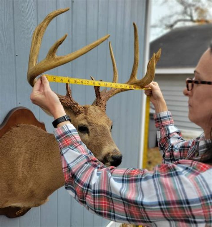 Unraveling The Value Of A "Buck"