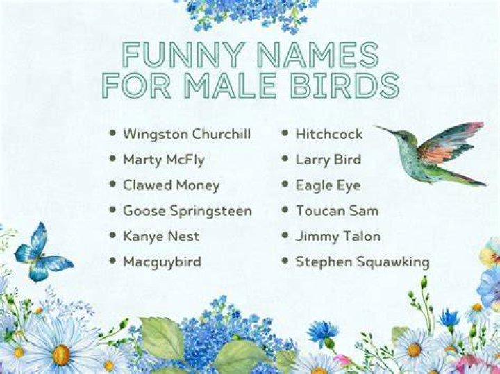 Unveil The Enchanting World Of Bird Names In Movies