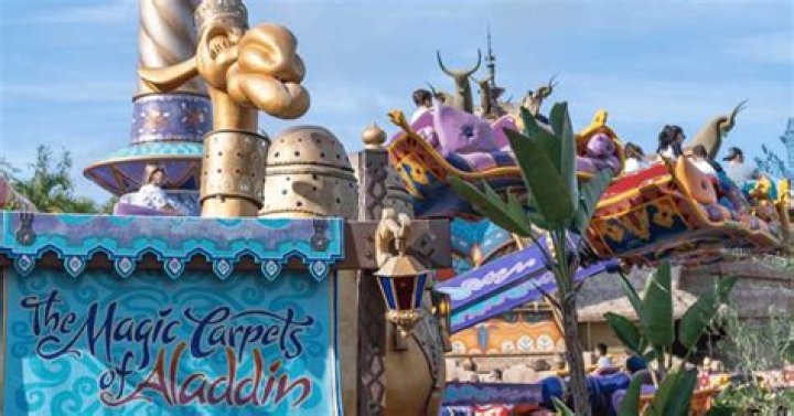 Unveil The Excitement And Discover The Magic