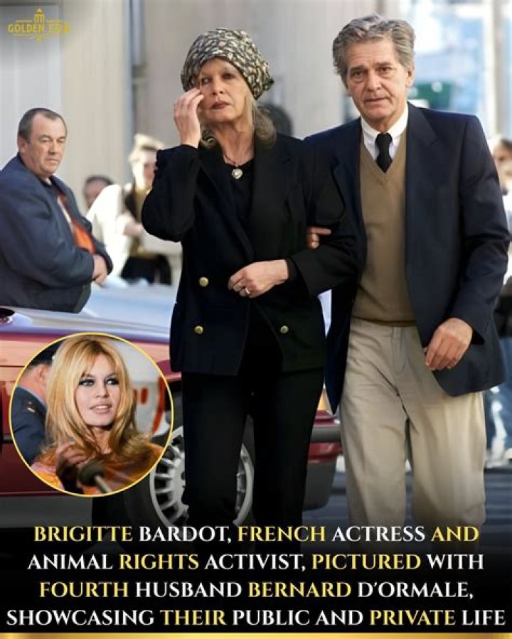Unveiling Brigitte Bardot's Enduring Influence Part 4: Discoveries And Insights Await!