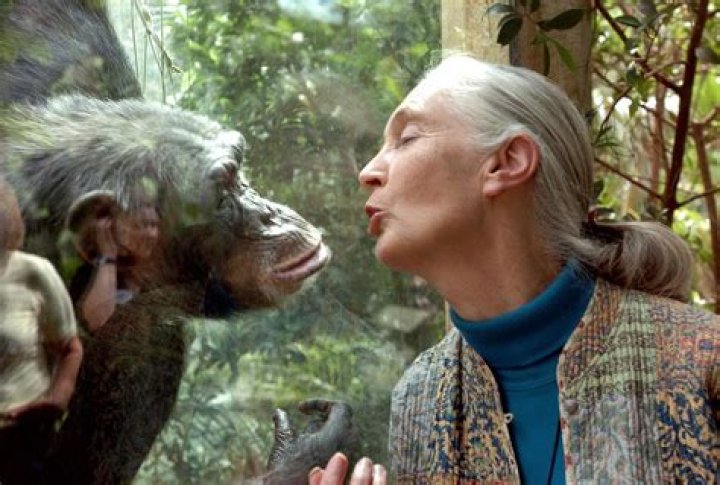 Unveiling Carolyn Peck's Pioneering Work For Children: Discoveries And Insights