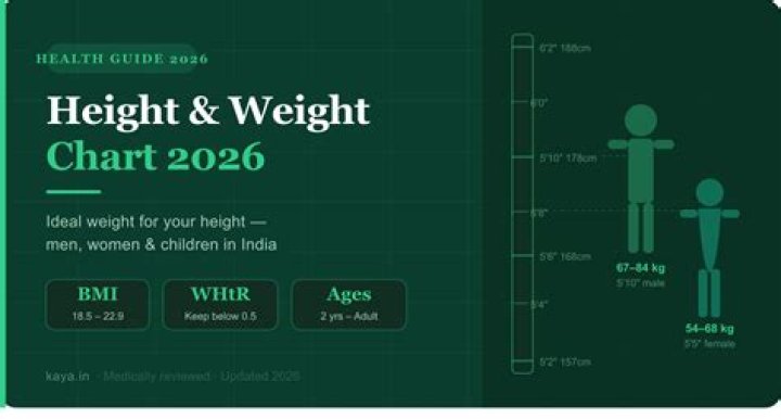 Unveiling Chuck Todd's Physical Attributes: Height And Weight Revealed
