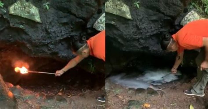 Unveiling Costa Rica's Deadliest: Uncovering Nature's Hidden Dangers