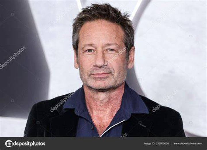 Unveiling David Duchovny: The Multifaceted Writer