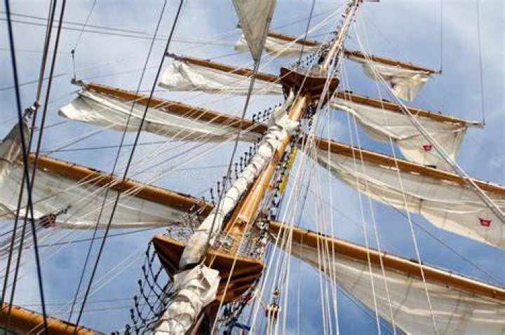 Unveiling King Harris's Towering Height: Discoveries And Insights