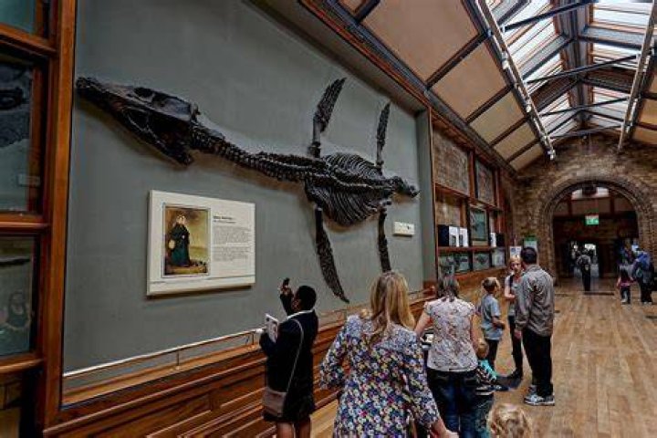 Unveiling Mary Ann Shore: Discoveries And Insights