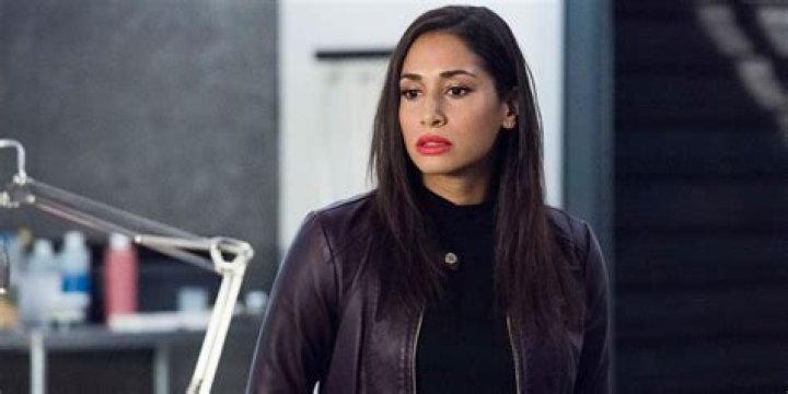 Unveiling Meaghan Rath's Stellar Performance As Brainy In Supergirl