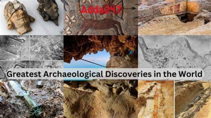 Unveiling Tara Wilson's World: Discoveries Await On Wikipedia
