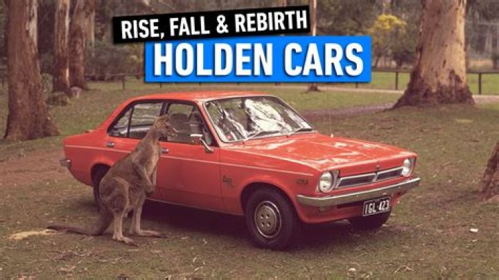 Unveiling The Age Of Holden Landry: Discoveries And Insights