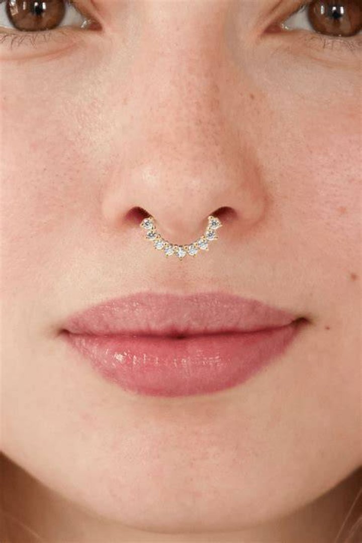 Unveiling The Allure Of Hard Jewelry Septum: Discoveries & Insights