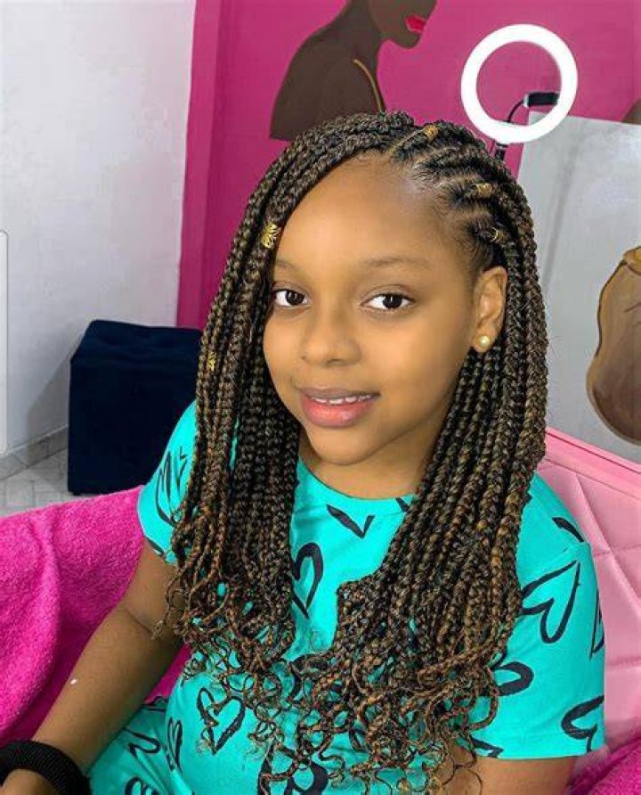 Unveiling The Allure Of Small Box Braids For Curly Hair: A Journey Of Discovery