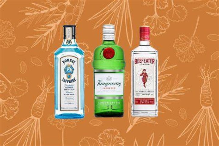Unveiling The Best Gins Under $30