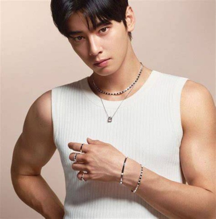 Unveiling The Charismatic Charm Of Fantagio Cha Eun Woo