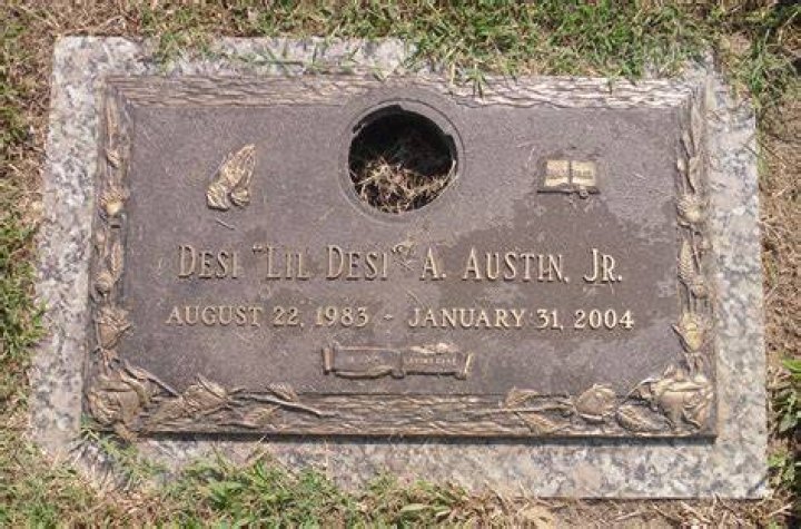 Unveiling The Charismatic Journey Of Desi Arna Jr.