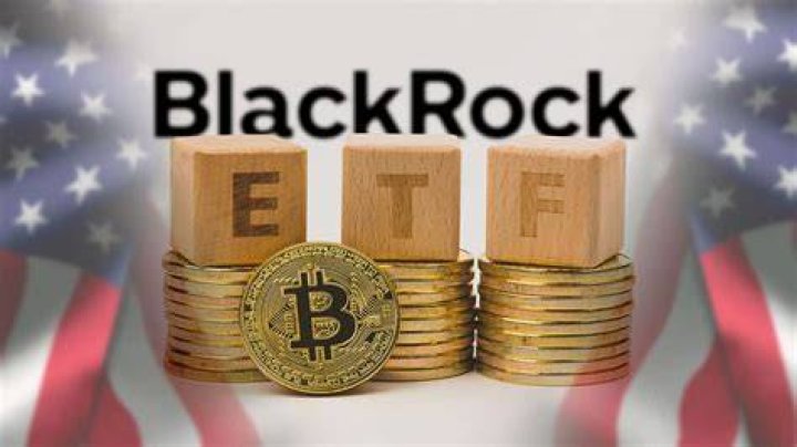 Unveiling The Connection Between Black Rock And Trump