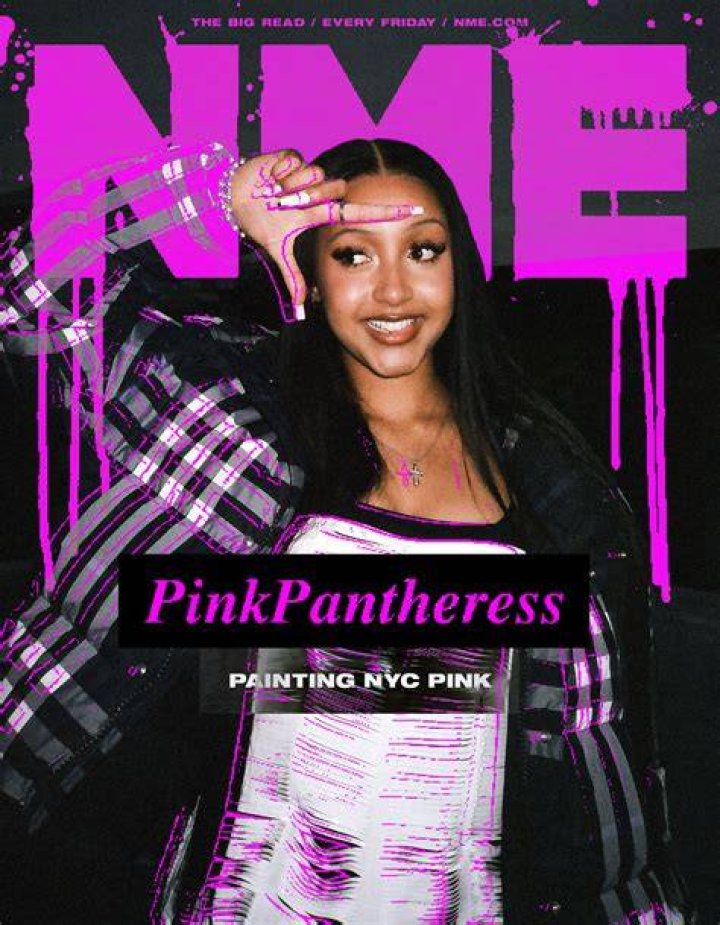 Unveiling The Dreamy Ethereal Fusion: PinkPantheress Music Genre