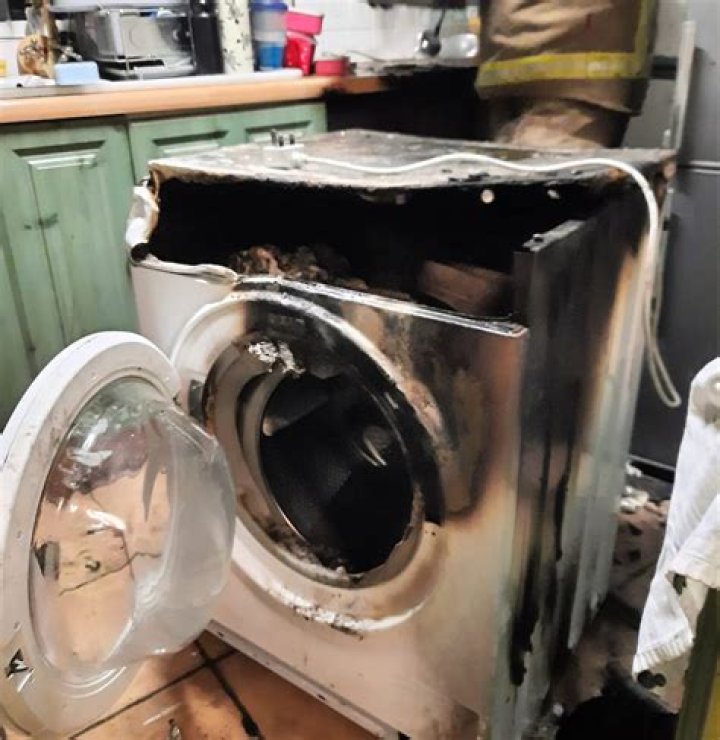 Unveiling The Emily Willis Washing Machine Incident: Surprising Revelations