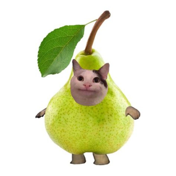 Unveiling The Enchanting "Pear Cat": Discoveries And Insights