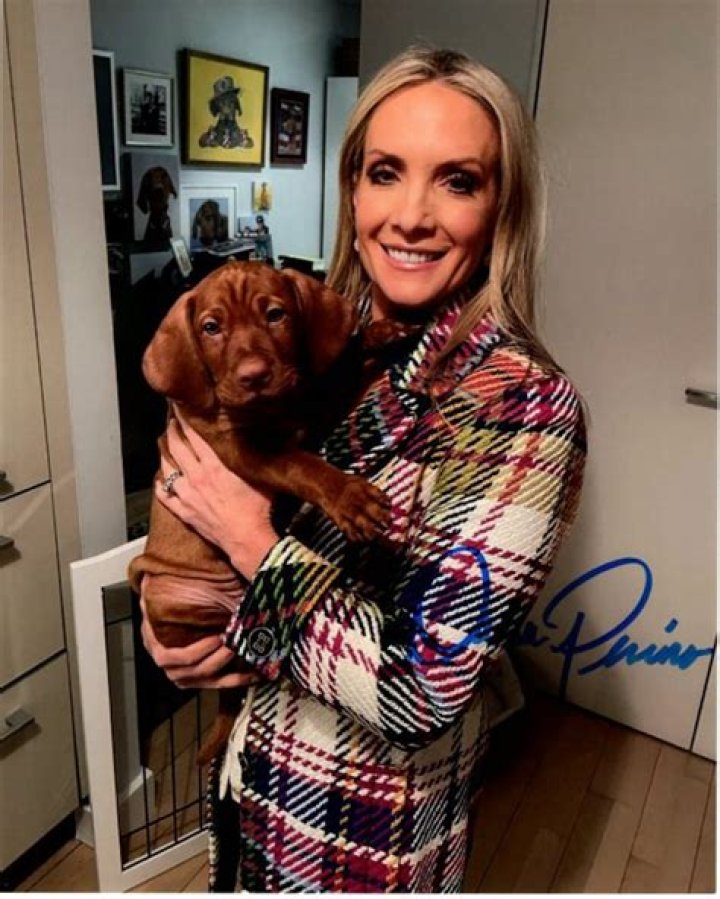 Unveiling The Enchanting World Of Dana Perino's Dog, Percy: Breed Secrets Revealed