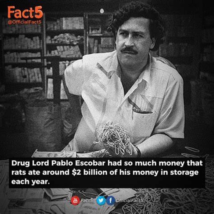 Unveiling The Enigma: How Much Money Did Pablo Have?