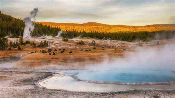 Unveiling The Enigma Of "Cody Ring Yellowstone Picture": Discoveries And Insights