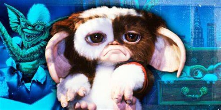 Unveiling The Enigma Of Gremlin Gang Leaders: Discoveries And Insights