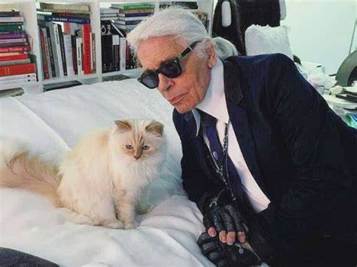 Unveiling The Extraordinary Wealth Behind Karl Lagerfeld's Empire