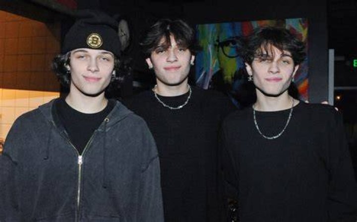 Unveiling The Financial Success Of The Sturniolo Triplets: A Comprehensive Exploration